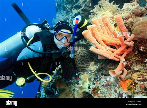 Scuba diver underwater close to coral reef Stock Photo - Alamy