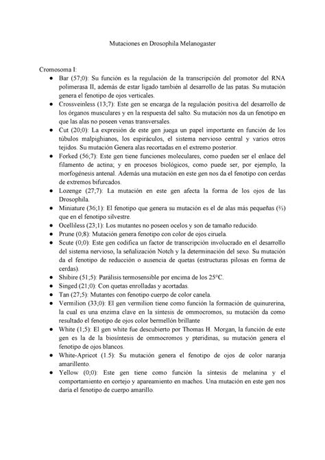 Mutaciones En Drosophila Melanogaster StuDocu