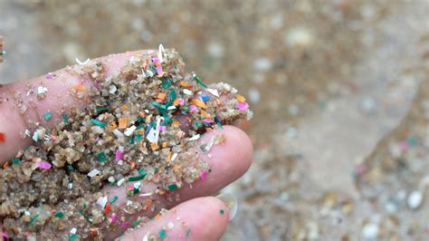 Vertido De Pellets En Mares Y Playas Contaminaci N Por Pl Sticos