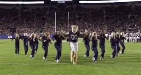 Byu S Cosmo The Cougar Goes Viral After Dancing With Cougarettes Deseret News