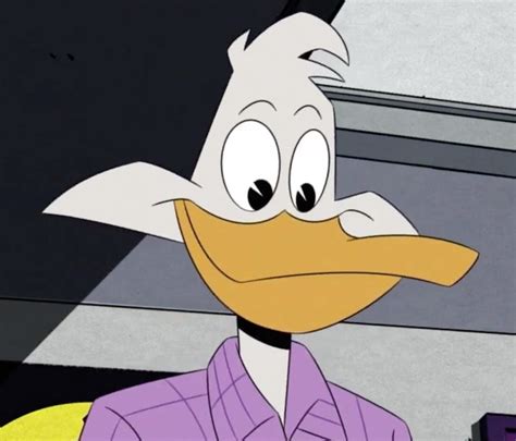 Drake Mallard Scrooge Mcduck Wikia Fandom