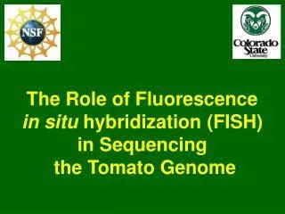 Ppt Fluorescence In Situ Hybridization Powerpoint Presentation Free