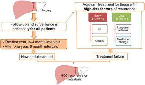 Adjuvant Therapy For Hepatocellular Carcinoma Eurekalert