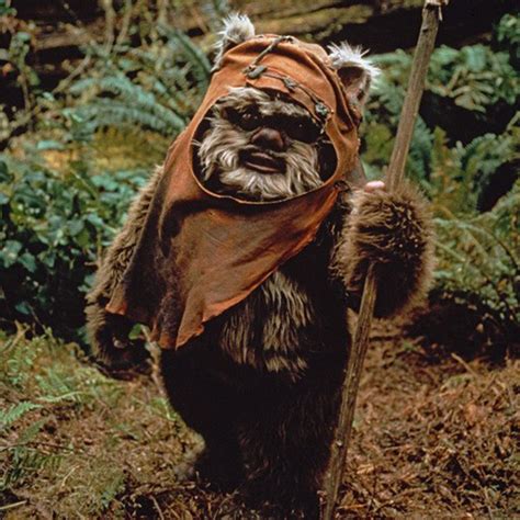 Stellar Four: The Cutest Ewok of All