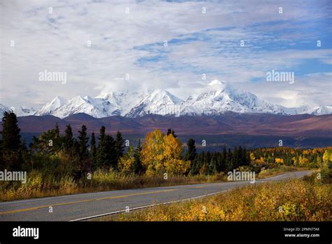 The Alaska Range with surrounding full autumn color. Great views of Mt Hayes, Mt Hess and Mt ...