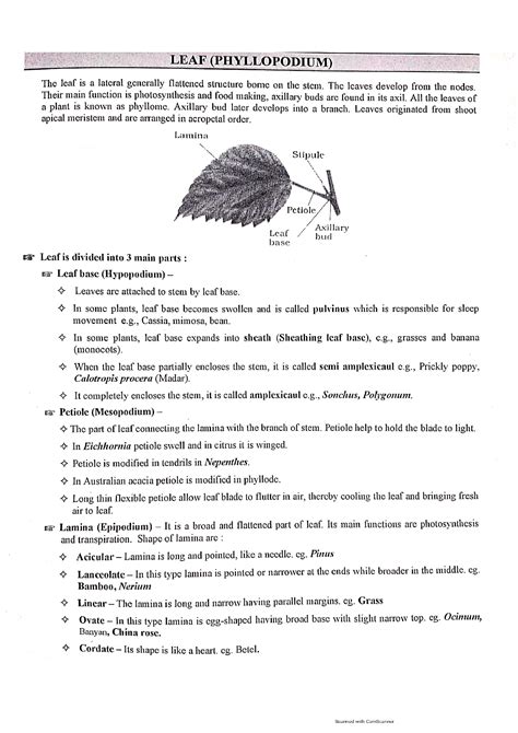 SOLUTION Leaf Divisions Of Leaf Types Of Leaves Venation Of Lamina