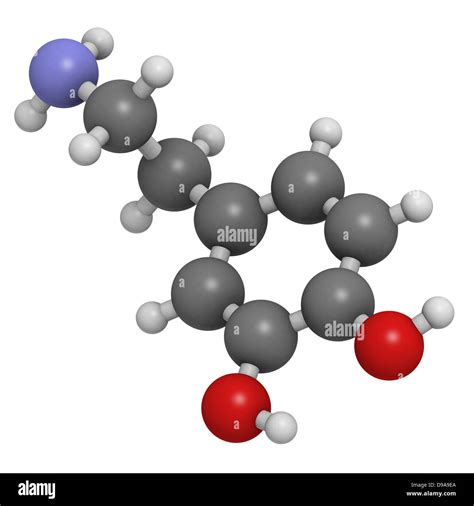 Mol Cula De Neurotransmisor Dopamina La Estructura Qu Mica Los Tomos