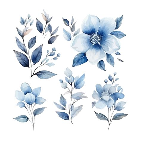 Folhas De Aquarela Azul E Clipart De Arranjo Floral Vetor Premium