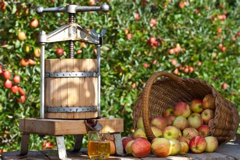 How To Make Apple Juice Easy Ways Minneopa Orchards