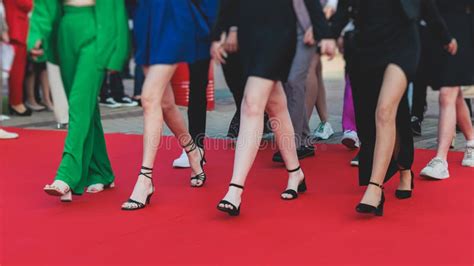 Red Carpet With Ropes And Golden Barriers On A Luxury Party Entrance