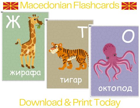 COLORFUL Macedonian Alphabet Flash Cards PDF Printable Digital Download ...