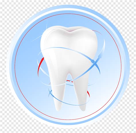 Dentistry Dental Extraction Human Tooth Teeth Heart People Png PNGEgg