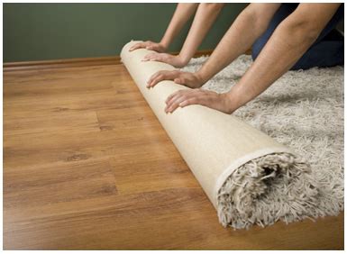 Hadeed Mercer Rug Cleaning Victory Rug Cleaning Richmond Virginia