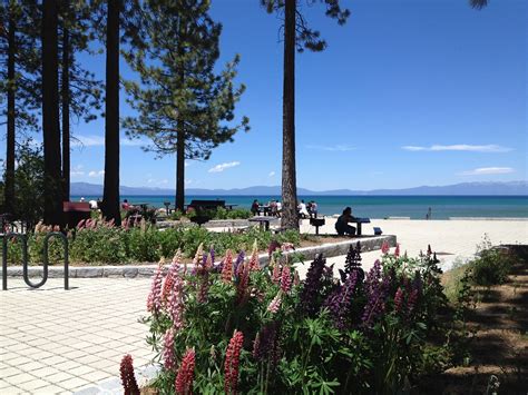 Lake Tahoe Gay Goat Travel Blog