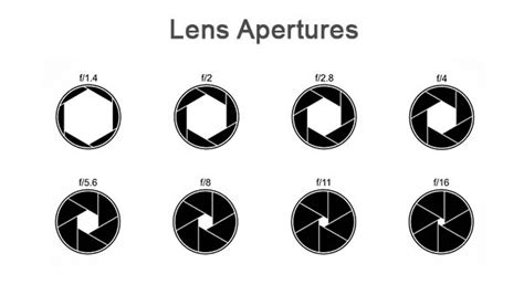 Understanding Aperture Lets You Design Your Photo