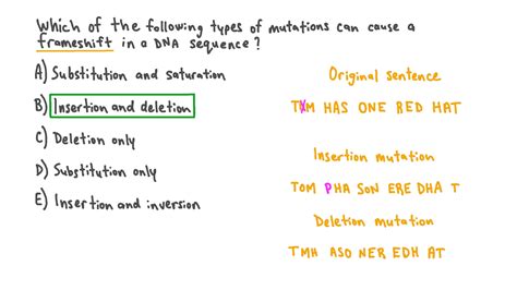 What Is An Example Of A Frameshift Mutation | Webframes.org