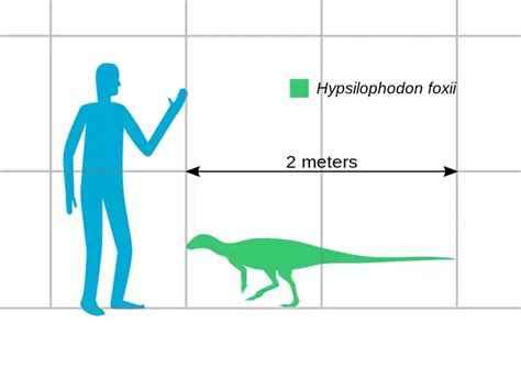 Hypsilophodon | An Early Cretaceous High-Crested Herbivore