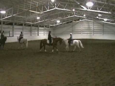 Serenity Farms Team Quadrille Practice 3 YouTube