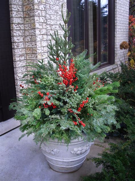 Container Garden Ideas For Winter Snow