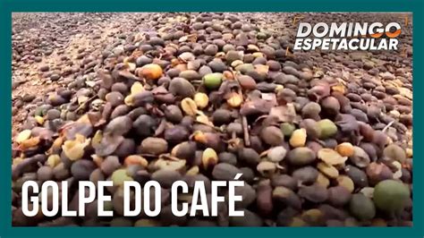 Produtores de café levam calote milionário após entregarem safra para