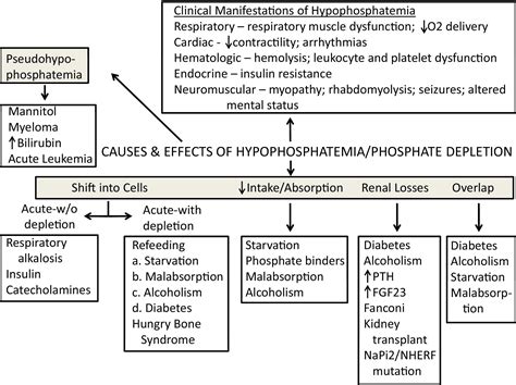 Approach To Treatment Of Hypophosphatemia American Journal Of Kidney