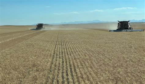 Wasde Adds Mt To Australian Wheat Estimate Grain Central