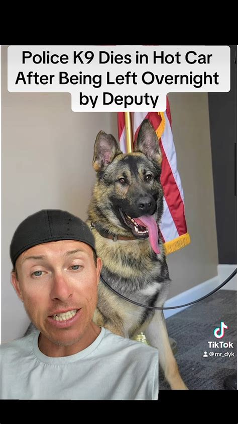 Police K9 Dies In Hot Car After Being Left By Deputy All Night Fyptiktok Missouri K9 Police