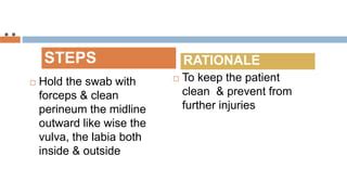 Perineal Care For B Sc Iv Year Ppt