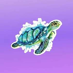 Turtle Gifts - Family Gift Ideas That Everyone Will Enjoy