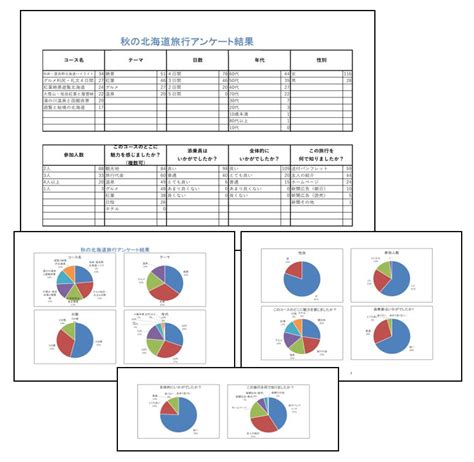 アンケート集計と円グラフ作成 エクセル Eテキスト