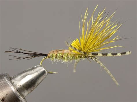 Flyillusions Green Drake Dry Fly Fly Tying Patterns Fly Tying