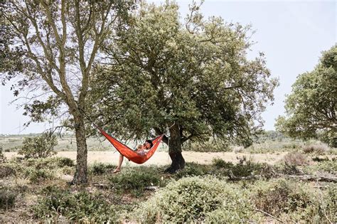 Leben Im Campervan Fotografin Zeigt Wie Aussteiger Auf Reisen Leben