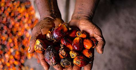 Zero Hunger Roundtable Launches Innovation Sprint In Nigeria