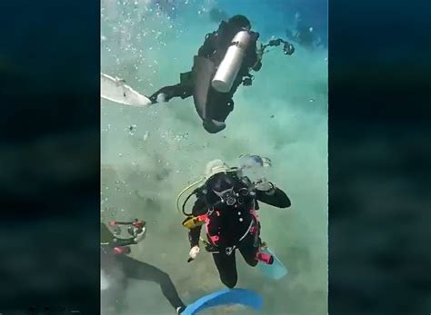 Caught On Camera Divers Rocked By Earthquake