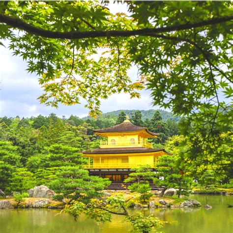 京都 京都一日遊京都嵐山 金閣寺 清水寺一日遊 大阪或京都出發 自選飯店接送 JR 新幹線 東京 京都 套票