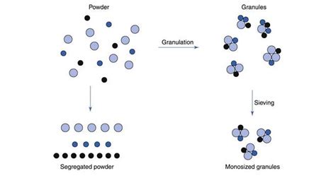 Dry Granulation The Definitive Guide Saintytec