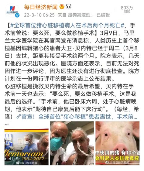 全球首例猪心脏移植患者去世，仅存活了2个月 知乎