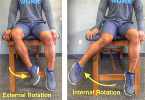 Ir And Er Hip Physio Fusion