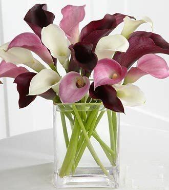 Pin By Ane Castro On Calla Lily Calla Lily Bouquet Calla Lily