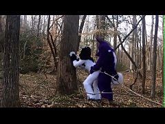 Fursuit Couple Mating In Woods Free Mobile Porn Videos IPornTV