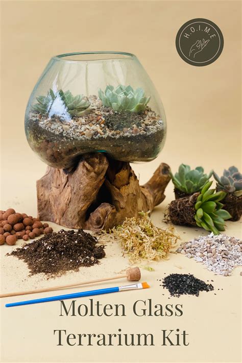 DIY Terrarium Kit | Terrariums kits, Terrarium, Diy terrarium kit