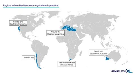 What is Mediterranean Agriculture | AMPLIFY XL