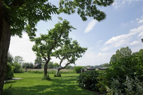 Landschappelijke Tuin Met Vijver Appeltern Adventure Gardens