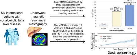 Liver Stiffness On Magnetic Resonance Elastography And The Mefib Index