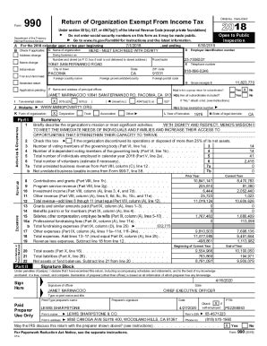 Fillable Online 2018 Audited Financial Statement Fax Email Print