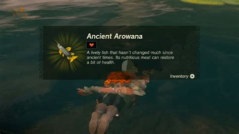 How To Get Ancient Arowana In Tears Of The Kingdom Locations