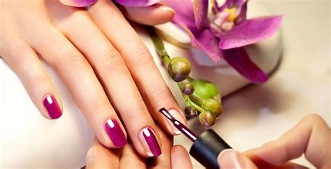 5 Different Types Of Manicures The Nail Pro