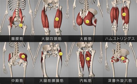 テニスボールでマッサージをして股関節の動きを改善させよう！