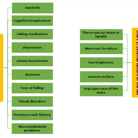 Risk Factors Causing And Exacerbating Falls In The Elderly Download