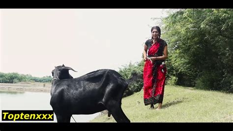 Desi Beautiful Village Girl Fucked By College Boy Desi Romantic Sex Xhamster